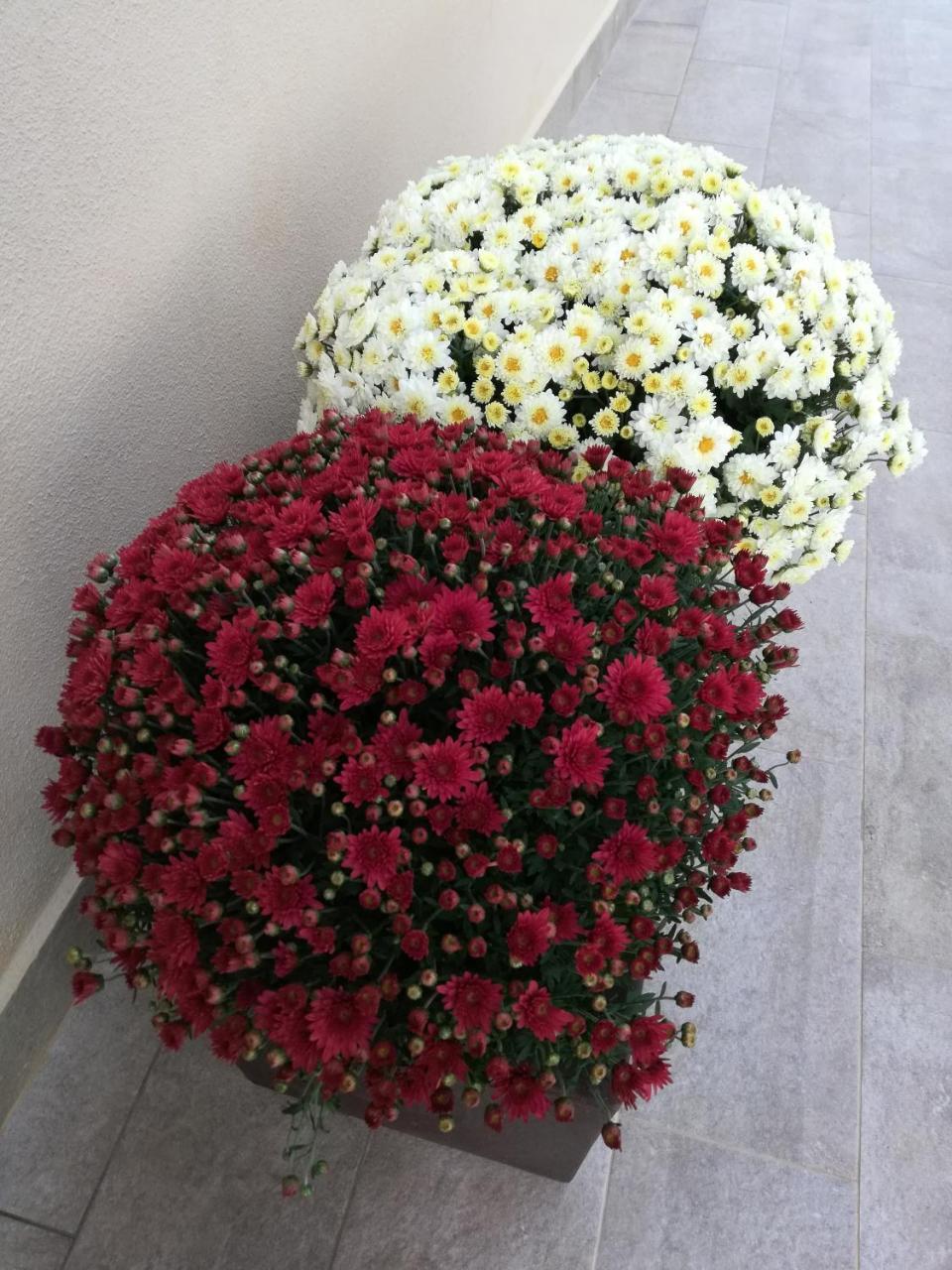 La Pianaccia Villa มันชาโน ภายนอก รูปภาพ